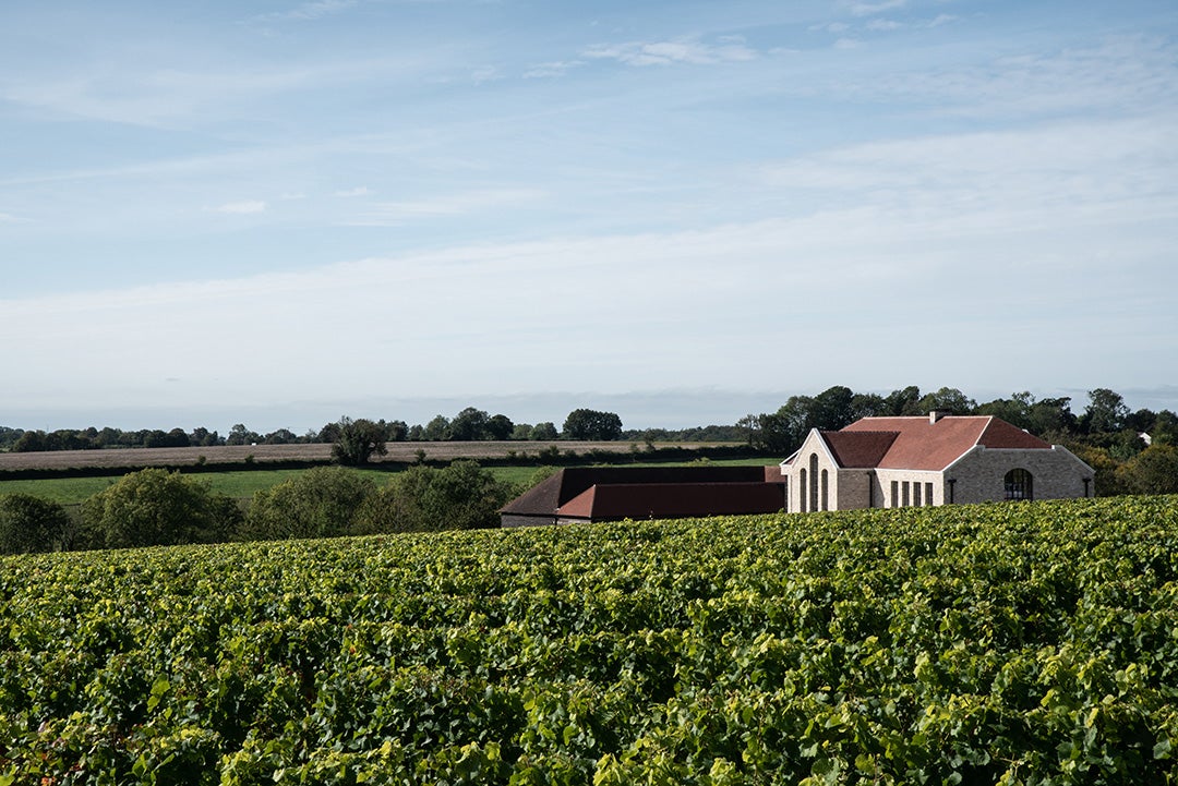 English vineyards online
